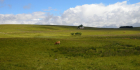 aubrac-071-14