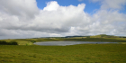 aubrac-091-14